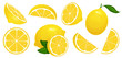 Lemon slices. Fresh citrus, half sliced lemons and chopped lemon isolated cartoon vector illustration set