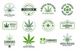 Cannabis label. Medical marijuana therapy, legal hemp plant and drug plants. Smoking weed badges isolated vector set