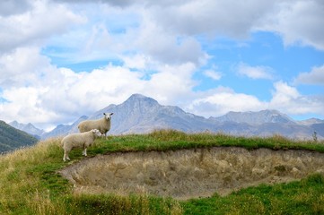 Wall Mural - landscape in the mountains