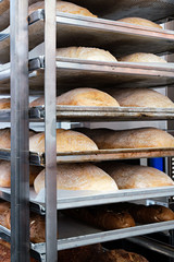 Poster - breads on the shelf in the bakery