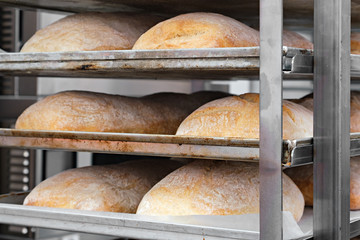 Poster - breads on the shelf in the bakery
