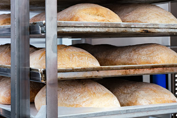 Poster - breads on the shelf in the bakery