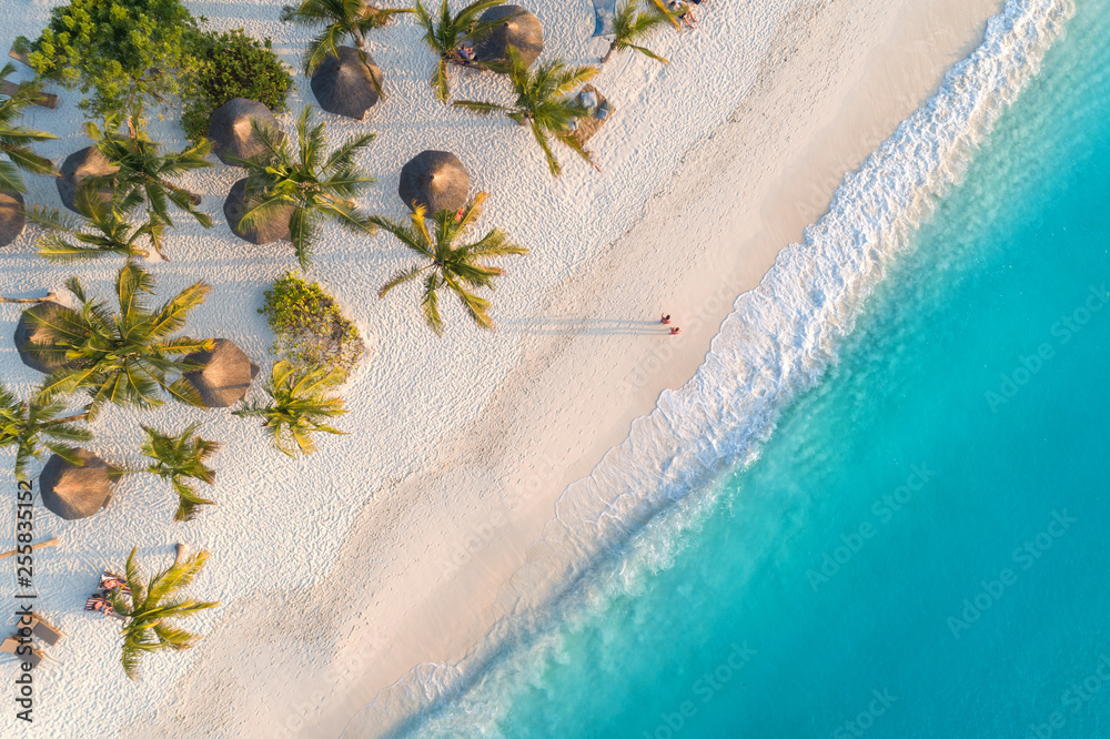 Aerial view of umbrellas, palms on the sandy beach of Indian Ocean at sunset. Summer holiday in Zanzibar, Africa. Tropical landscape with palm trees, parasols, white sand, blue water, waves. Top view - obrazy, fototapety, plakaty 