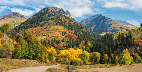 Wall Mural - Autumn scenery on Last Dollar Road near Telluride - Golden Aspen