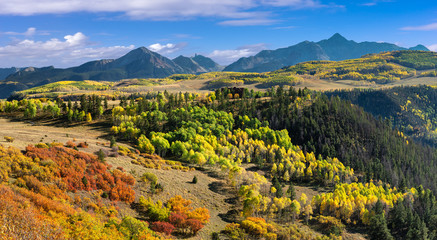 Wall Mural - Autumn scenery on Last Dollar Road near Telluride - Golden Aspen 