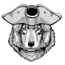 Wolf, Dog Wearing Pirate Tricorn Hat. Capitan Costume.