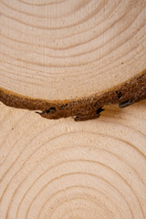 Wall Mural - Piled pine tree trunk cross-sections with annual rings. Lumber piece close-up shot.