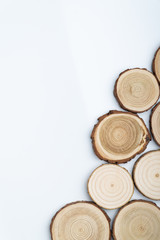 Wall Mural - Pine tree cross-sections with annual rings on white background. Lumber piece close-up shot, top view.