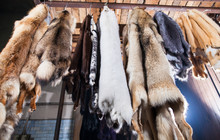 Manufacture Of Fur Animals In The Workshop.