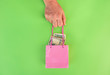  female hand hold little shopping bag with United States dollar money