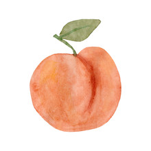 Watercolor Peach Fruit. Hand Drawn Summer Illustration. Design For Fabric, Packaging, Textile, Cover, Postcard, Paper, Stationery, Scrapbooking, Wrapping, Clothes, Stickers, Cards, Posters, Logo