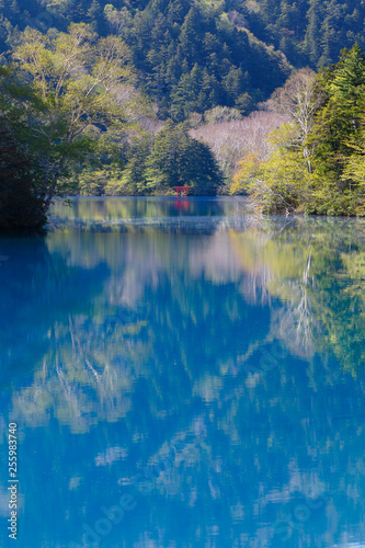 志賀高原 大沼池 © Amamiya