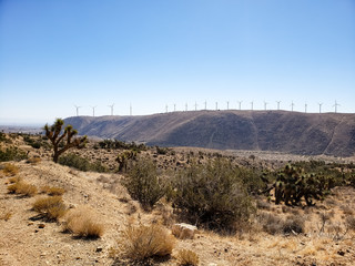 Wall Mural - Mojave desert landscape