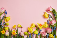 Top View Of Fresh Pink Tulips, Blue Hyacinths And Yellow Daffodils On Pink Background