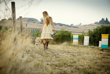Woman In Sundress Walks By Bee Hive Boxes With Dog