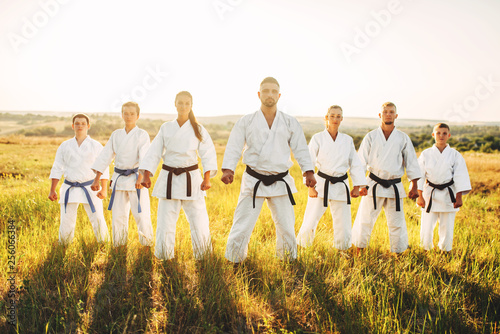 Αφίσα Karate group in white kimono, workout in field