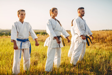 Wall Mural - Karate group on training in summer field