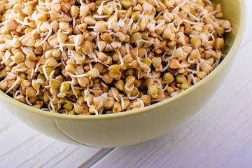 Canvas Print - Sprouts of green buckwheat in a bowl. Macro shot. Raw buckwheat.