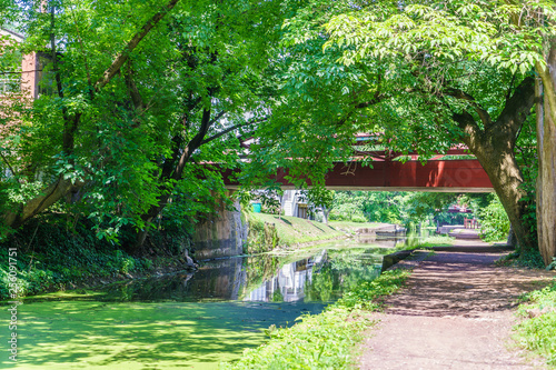 Fotomural Delaware Canal Towpath, New Hope, PA