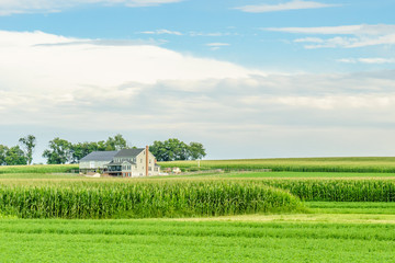 Wall Mural - Amish country farm barn field agriculture in Lancaster, PA