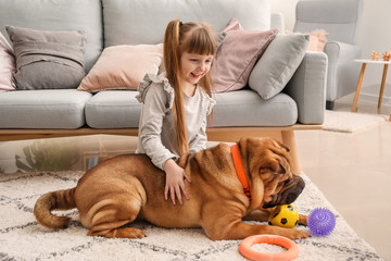 Poster - Cute little girl playing with funny dog at home