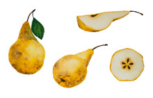 Vector Set Of Watercolor Hand Drawing Yellow Ripe Pears And Slices