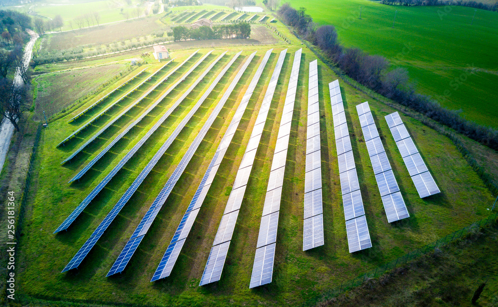 aerial view of solar panels on a sunny day. power farm producing clean energy - obrazy, fototapety, plakaty 