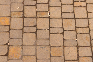 Canvas Print - Paving slab. Paving