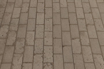 Sticker - Paving slab. Paving