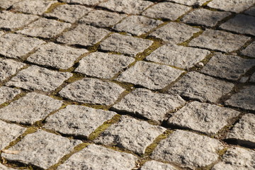 Canvas Print - Paving slab. Paving