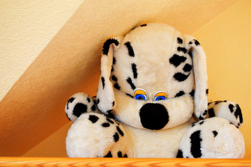 Plush dalmatian toy dog with black spots and cute blue plastic eyes on wooden shelf on yellow wall background closeup view.