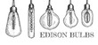 Collection of various shaped hanging edison bulbs