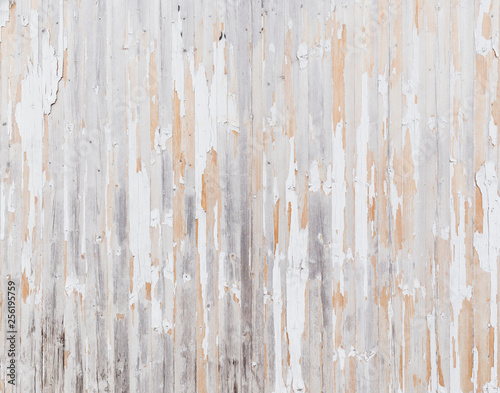 High Resolution Full Frame Background Of A Weathered And Faded Wooden Wall Or Wood Panelling White Paint Mostly Peeled Off Stock Photo Adobe Stock