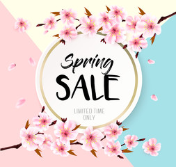 Poster - Spring sale background with a pink blooming sakura. Vector