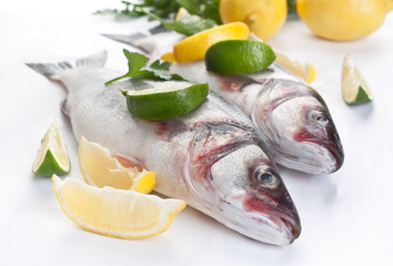 raw seabas fish with hebs, limes and lemons