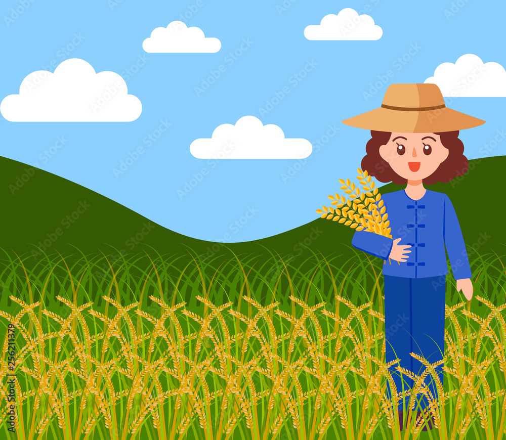 famale farmer harvest rice, Flat cartoon vector illustration isolated ...