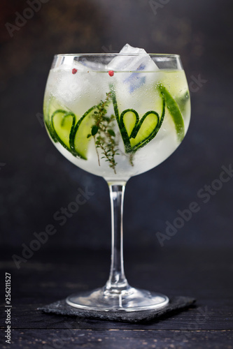 Photographie Gin and tonic with cucumber hearts and thyme