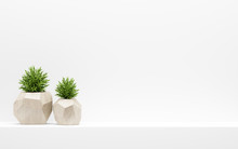 Green Plants In Wooden Pots On White Shelf