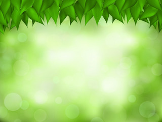 nature realistic background. green leaves frame behind blurred forest, with bokeh light effect. spri