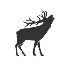 Wild Animal Reindeer Drawn Silhouette Illustration Design
