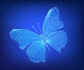 Poster - polygon butterfly on blockchain hud banner