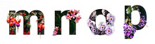 Flower Font Letter M, N, O, P Create With Real Alive Flowers And Precious Paper Cut Shape Of Alphabet. Collection Of Brilliant Bloom Flora Font For Your Unique Text, Typography With Many Concept Ideas