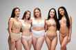 © LIGHTFIELD STUDIOS - five beautiful multicultural girls in underwear looking at camera and smiling isolated on grey, body positivity concept