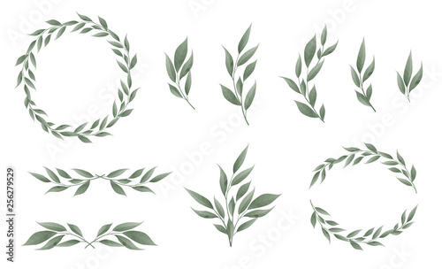Vector designer elements set collection of greeng leaves herbs in watercolor ...
