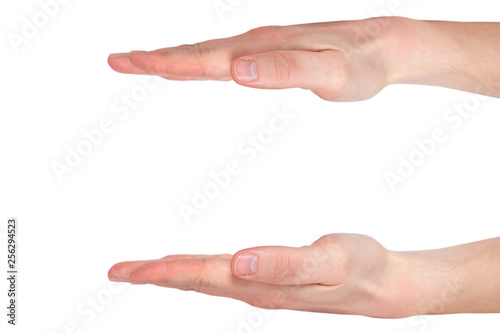 Fotomural Male hands measuring something, isolated on white