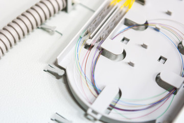 Fototapete - worker comunicate fiber optic cable at opto box. installing new network equipment