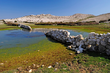 Poster - Viehtränke auf dem Obzova, Insel Krk, Kroatien