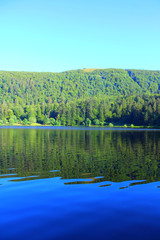 Wall Mural - lac dans la foret des vosges en france