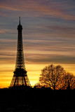Fototapeta Boho - Paris, France - February 13, 2019: Eiffel tower at sunset viewed from Tuileries garden