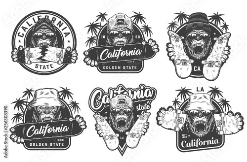 Vintage monochrome summer skateboarding labels